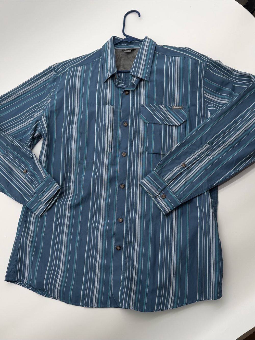 Eddie Bauer Navy and Teal Striped Button-Up Hiking Shirt